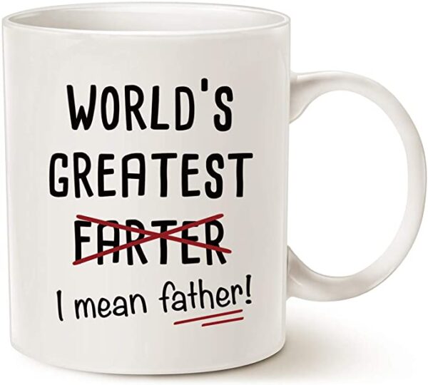 funny best dad mug gift